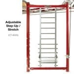 CT Training Module - Adjustable Step-Up / Stretch (CT-8220)